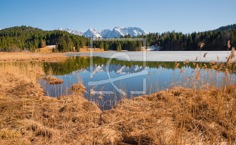 freely selectable image excerpt for your image on Door Foil