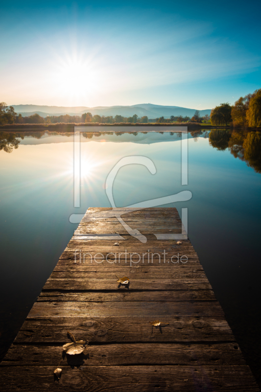 freely selectable image excerpt for your image on Door Foil