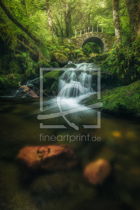 freely selectable image excerpt for your image on Door Foil