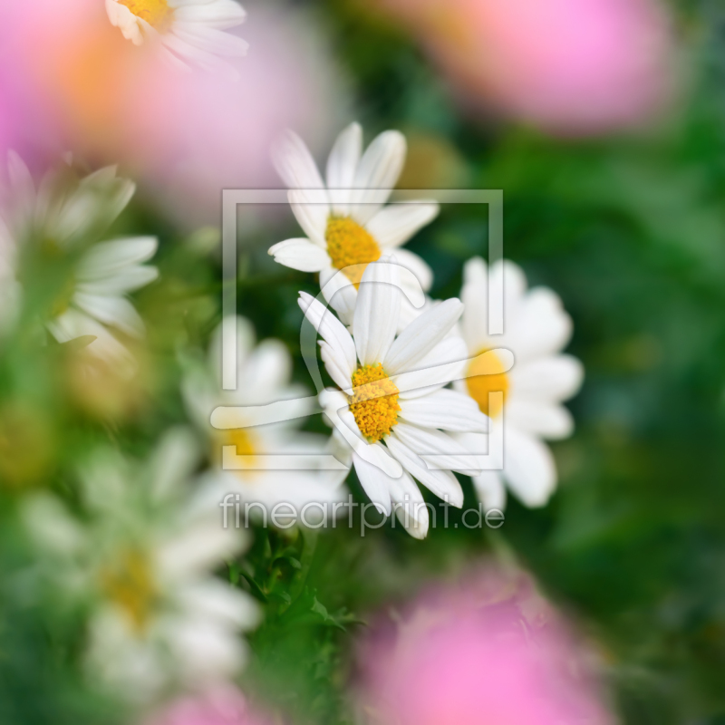 freely selectable image excerpt for your image on Door Foil