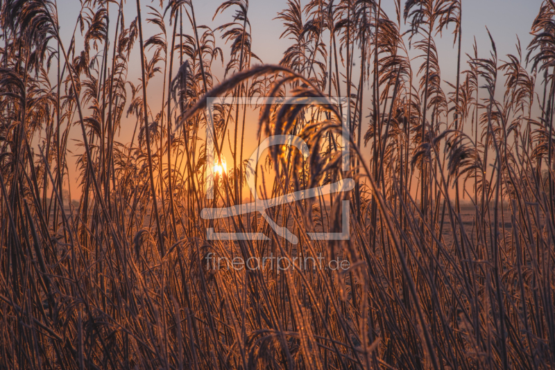 freely selectable image excerpt for your image on Door Foil