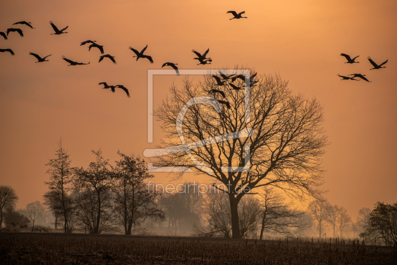 freely selectable image excerpt for your image on Door Foil