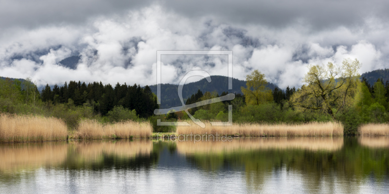 freely selectable image excerpt for your image on Door Foil