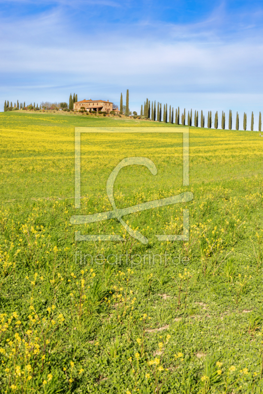 freely selectable image excerpt for your image on Door Foil