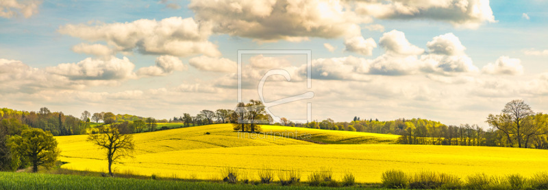 freely selectable image excerpt for your image on Door Foil