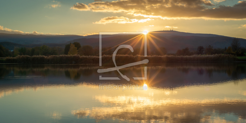 freely selectable image excerpt for your image on Door Foil