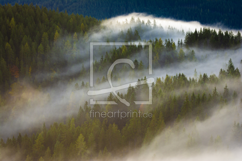 freely selectable image excerpt for your image on Door Foil