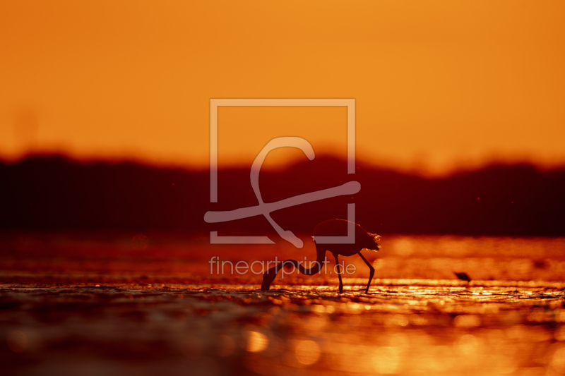 freely selectable image excerpt for your image on Door Foil