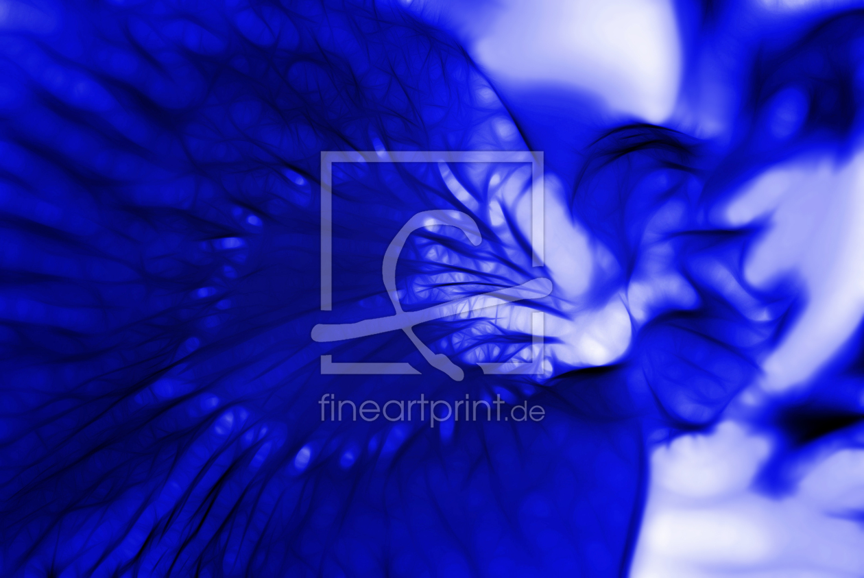 Bild-Nr.: 10019045 Iris erstellt von Atteloi