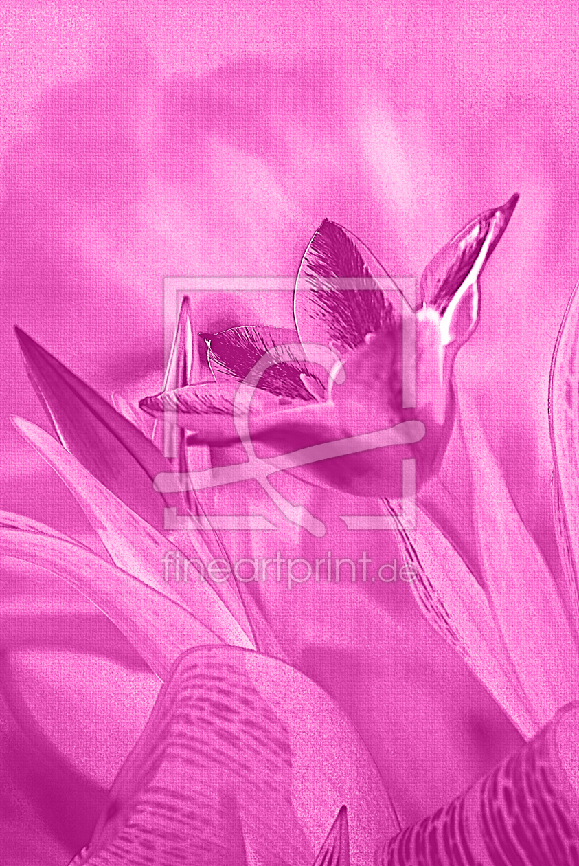 Bild-Nr.: 10023905 Tulpen erstellt von Atteloi