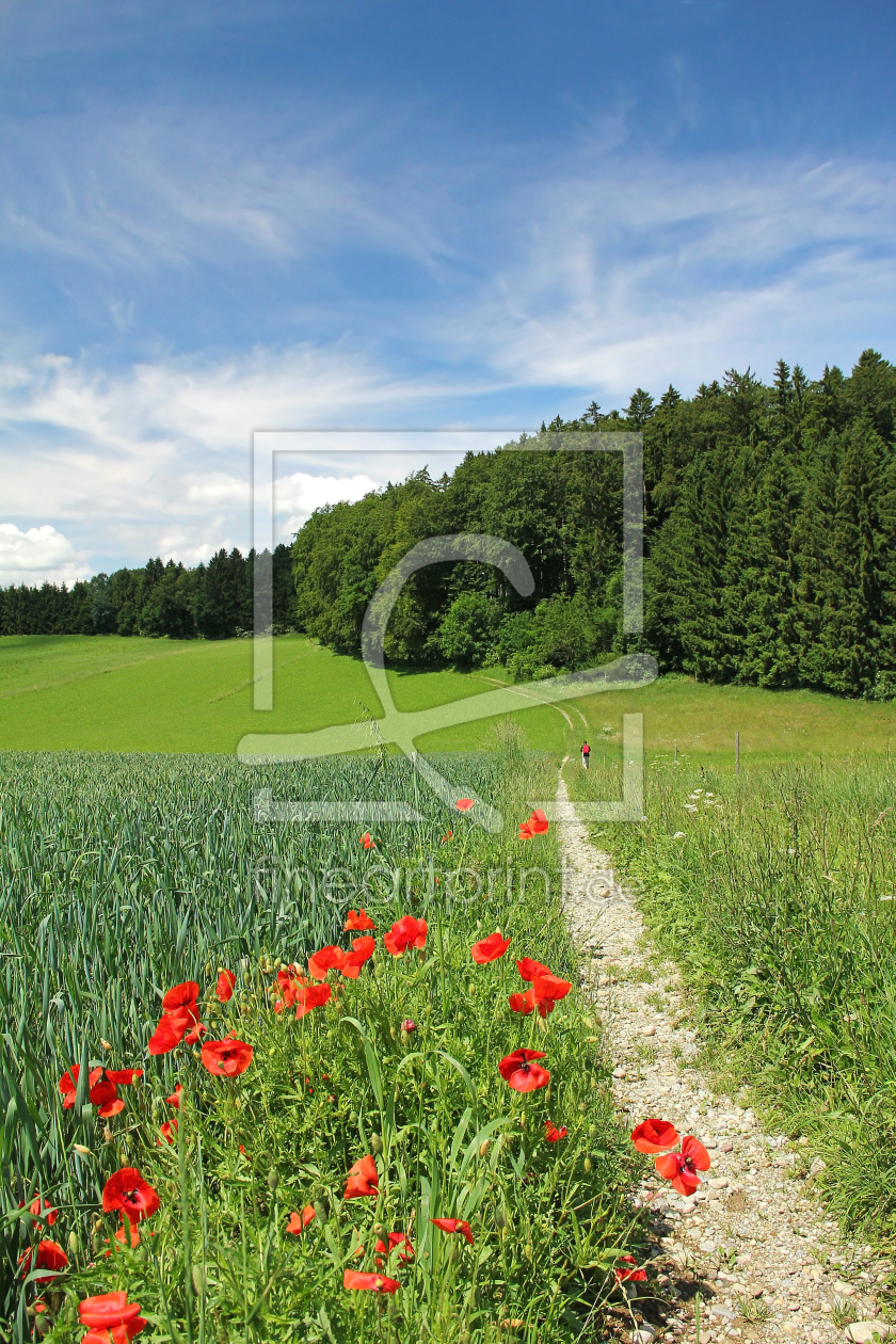 Bild-Nr.: 10104452 Mohn am Wegrand erstellt von SusaZoom