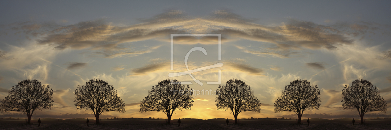Bild-Nr.: 10137714 Sunset Trees erstellt von SusaZoom