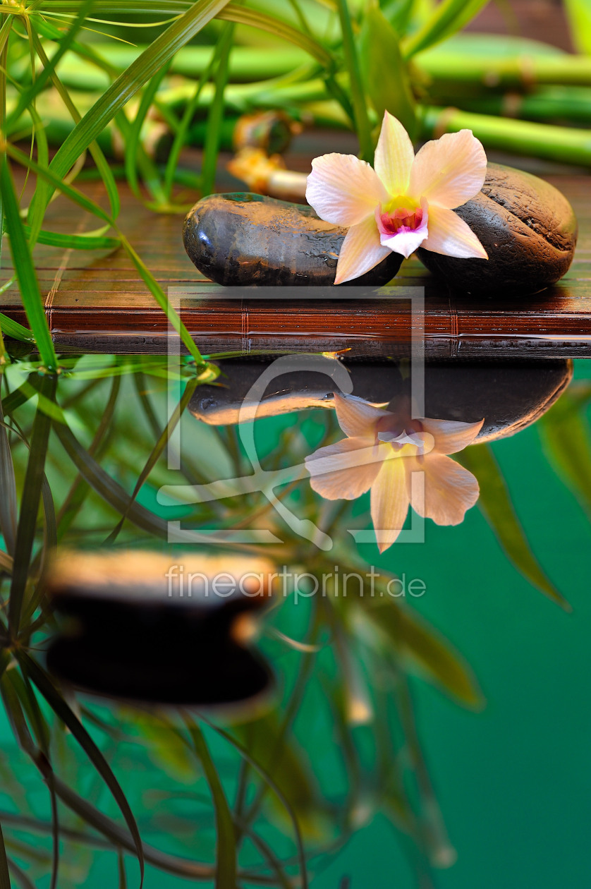 Bild-Nr.: 10385487 Orchidee Spiegelung erstellt von FineArtImages