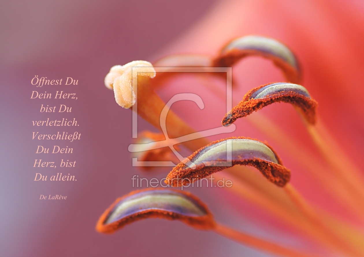 Bild-Nr.: 10548709 Open your heart erstellt von youhaveadream