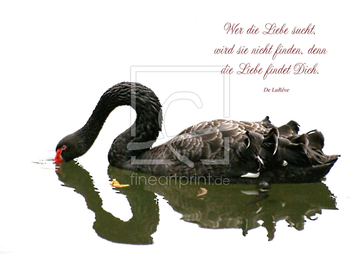 Bild-Nr.: 10585509 L´amour erstellt von youhaveadream