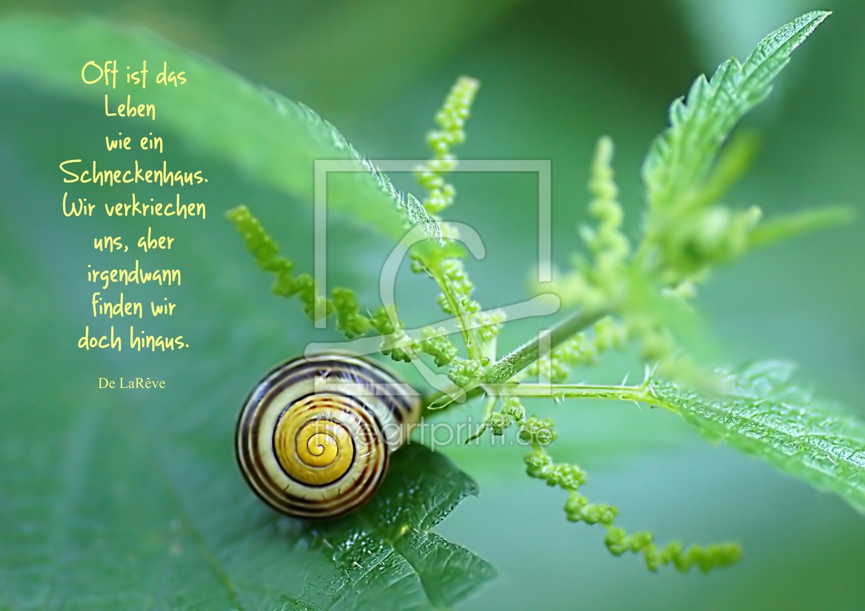 Bild-Nr.: 10601556 What a wonderful world erstellt von youhaveadream