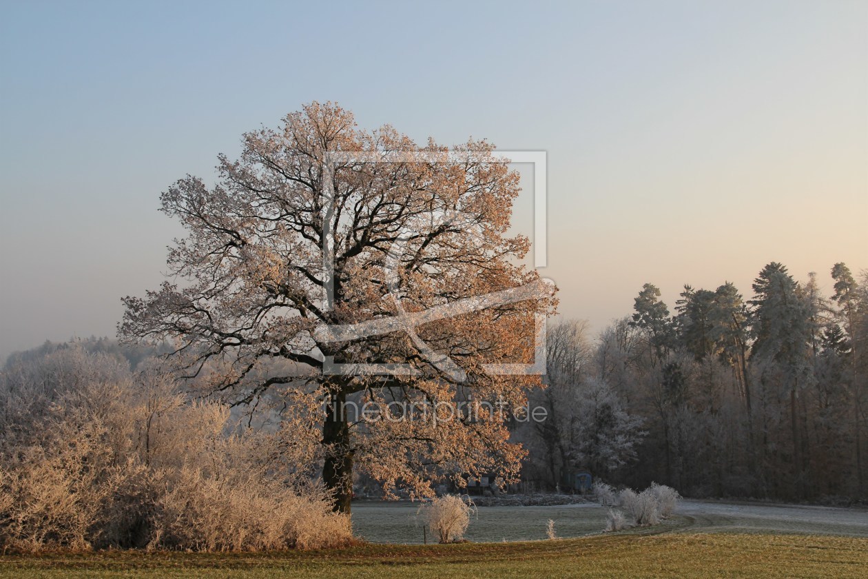 Bild-Nr.: 11141044 Winterträume erstellt von brunosch