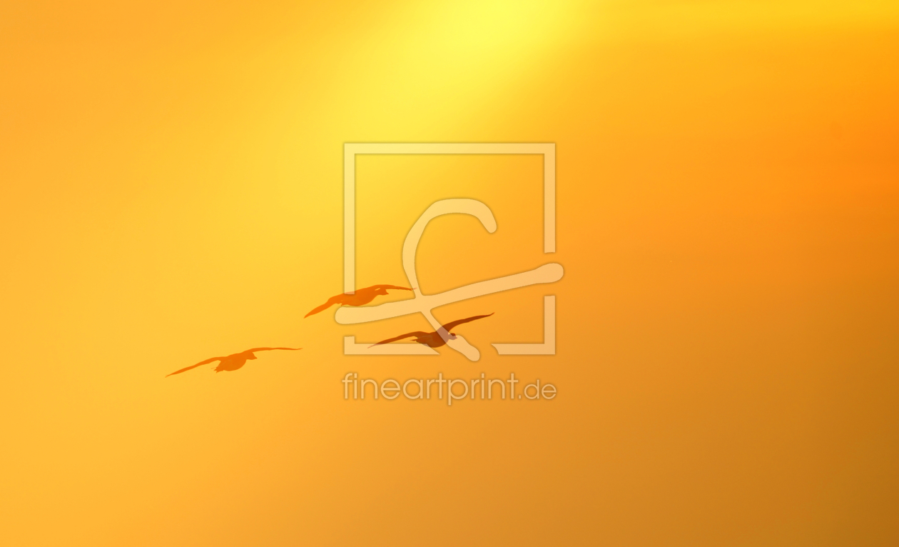 Bild-Nr.: 11421728 flying birds erstellt von KundenNr-281854