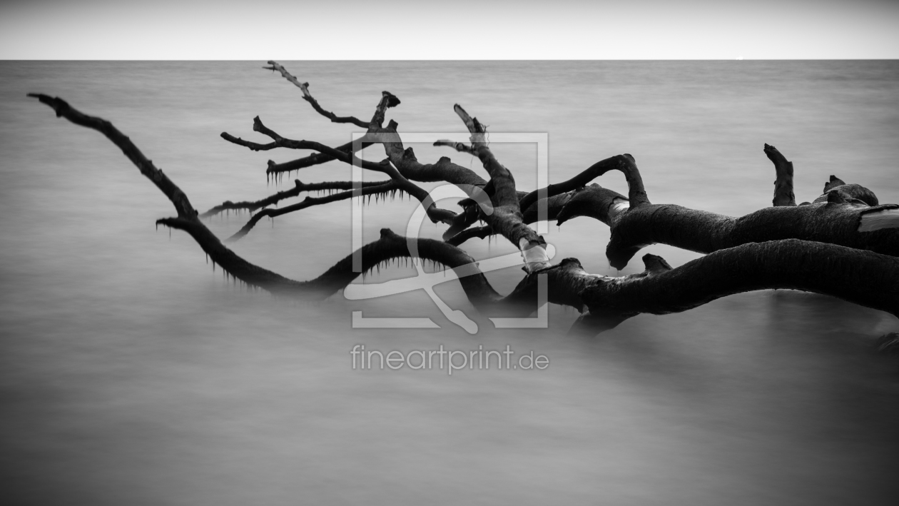 Bild-Nr.: 11563618 Dead Tree erstellt von Projekt-365