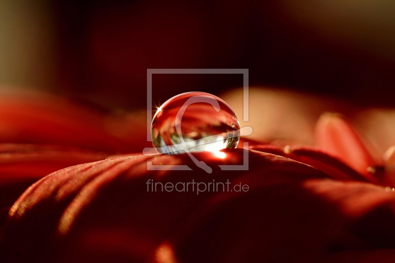 Bild-Nr.: 11638916 Time for Red erstellt von youhaveadream