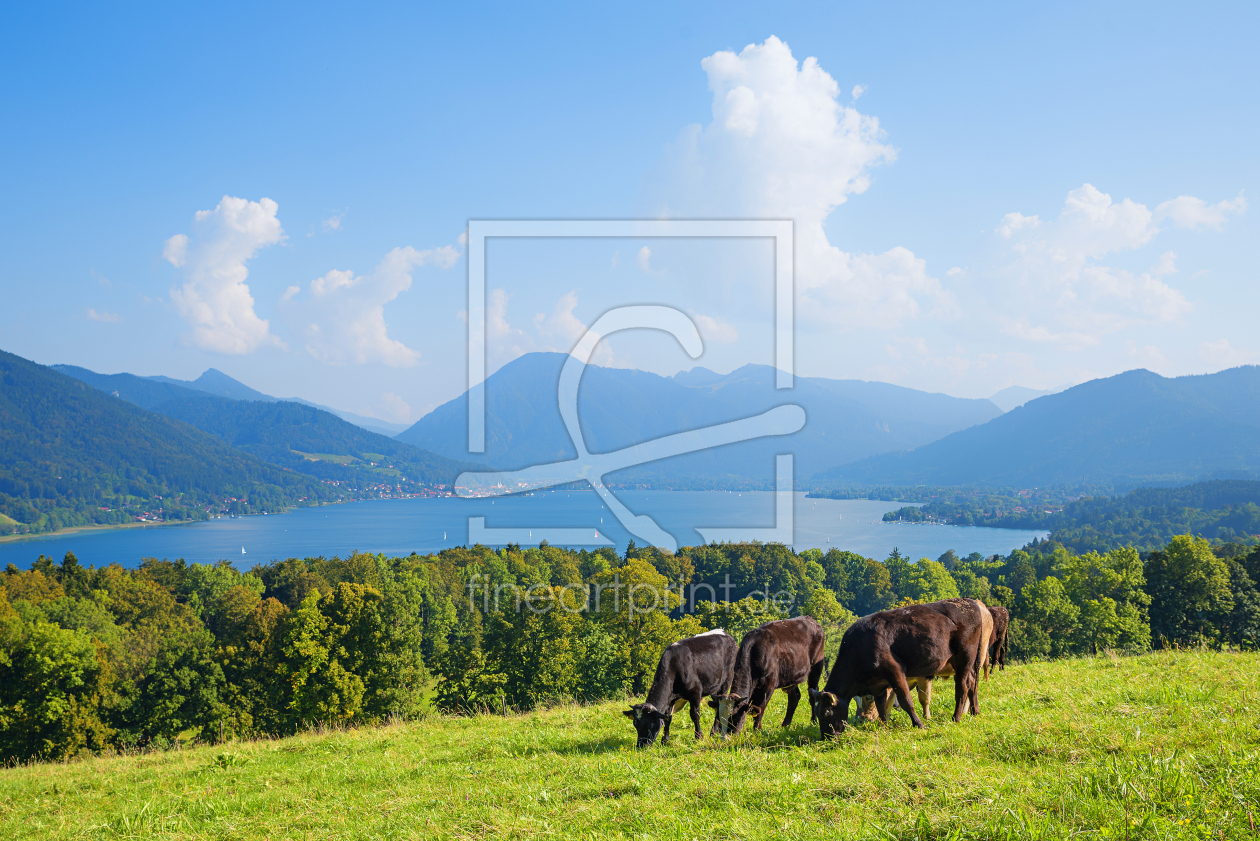 Bild-Nr.: 11858012 Hainznhoehe am Tegernsee erstellt von SusaZoom