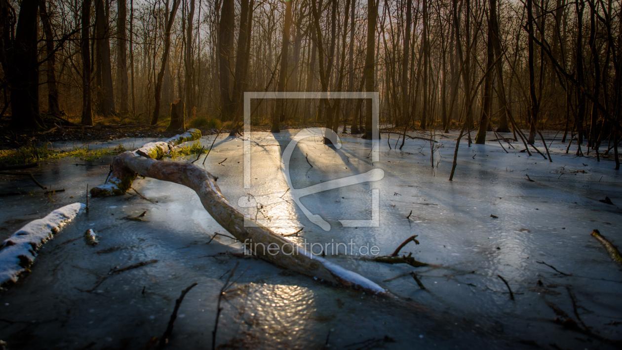 Bild-Nr.: 11878884 Winter im Moor erstellt von Thomas Koch