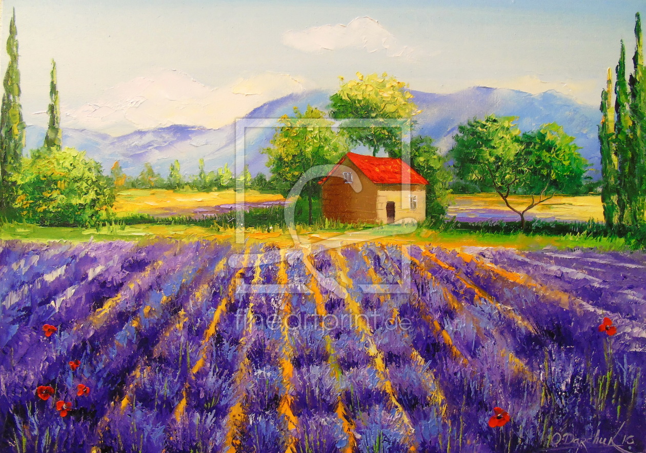 Bild-Nr.: 11897214 Lavender field erstellt von olha darchuk