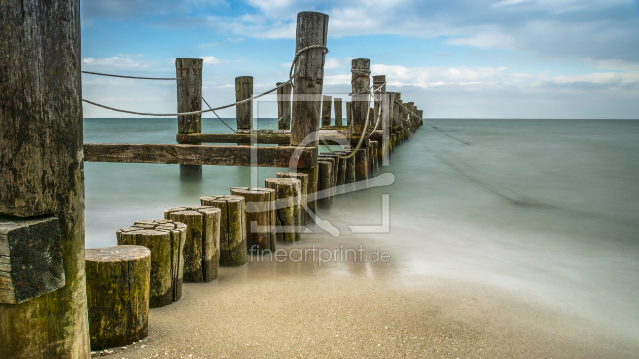 Bild-Nr.: 11917816 Zingst im Darß Nationalpark erstellt von luxpediation
