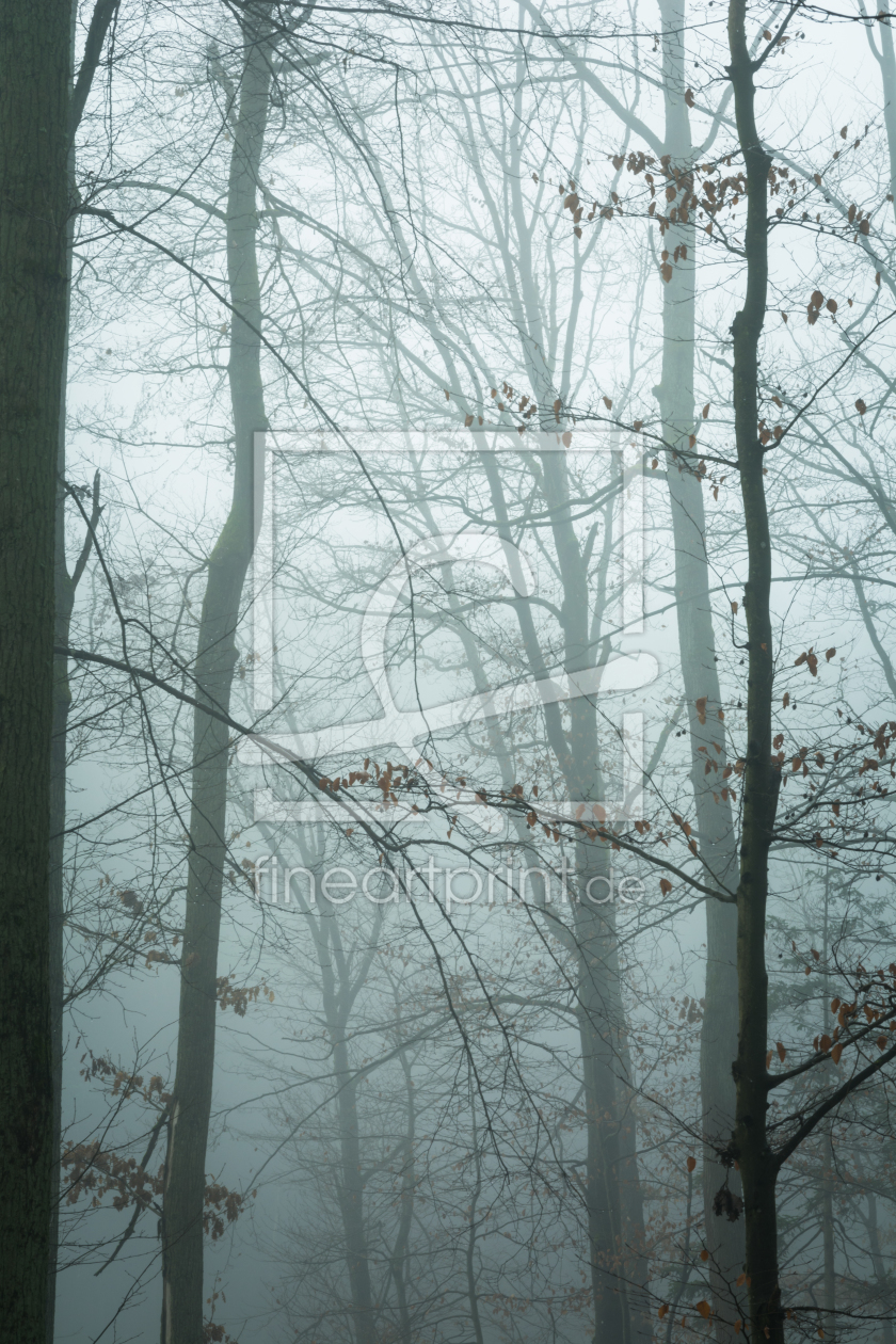 Bild-Nr.: 11967415 Natur im Nebel erstellt von luxpediation