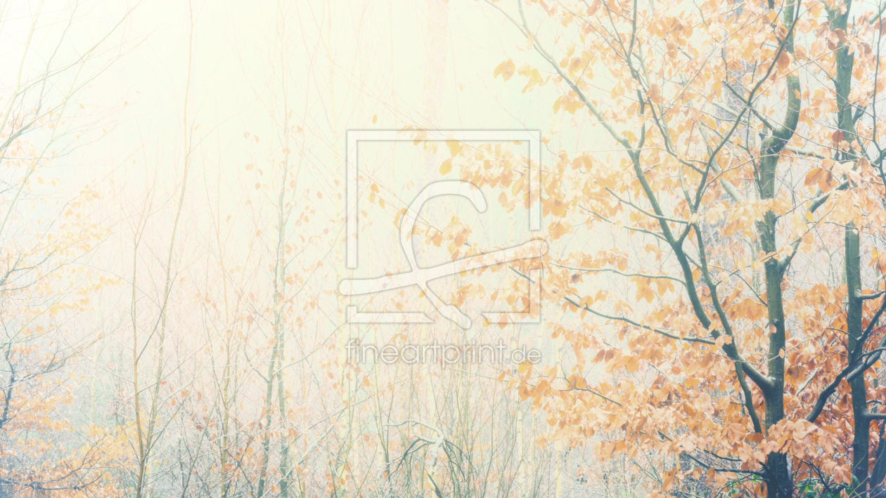 Bild-Nr.: 11969364 Herbstbild von Bäumen erstellt von luxpediation