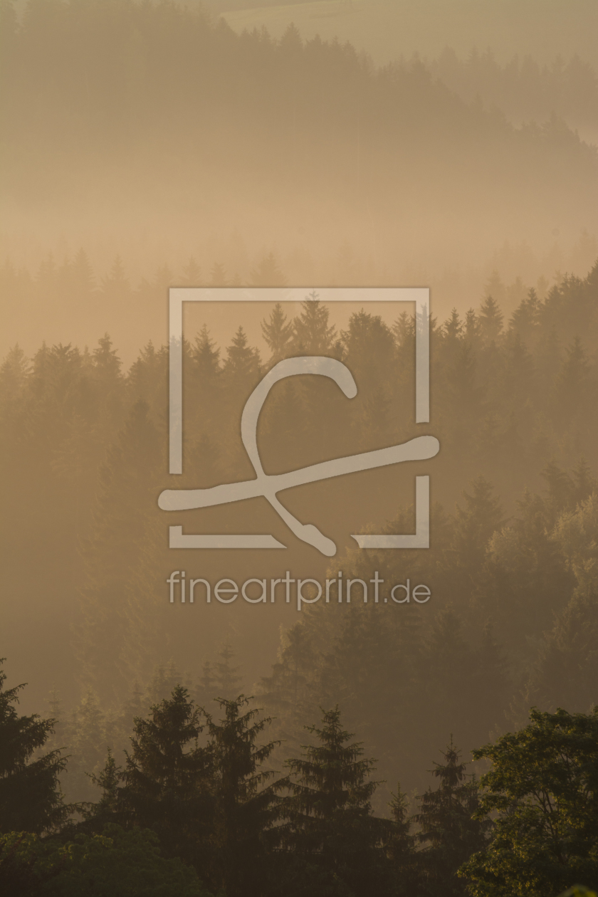 Bild-Nr.: 11991029 Morgenstimmung mit Herbstnebel erstellt von luxpediation