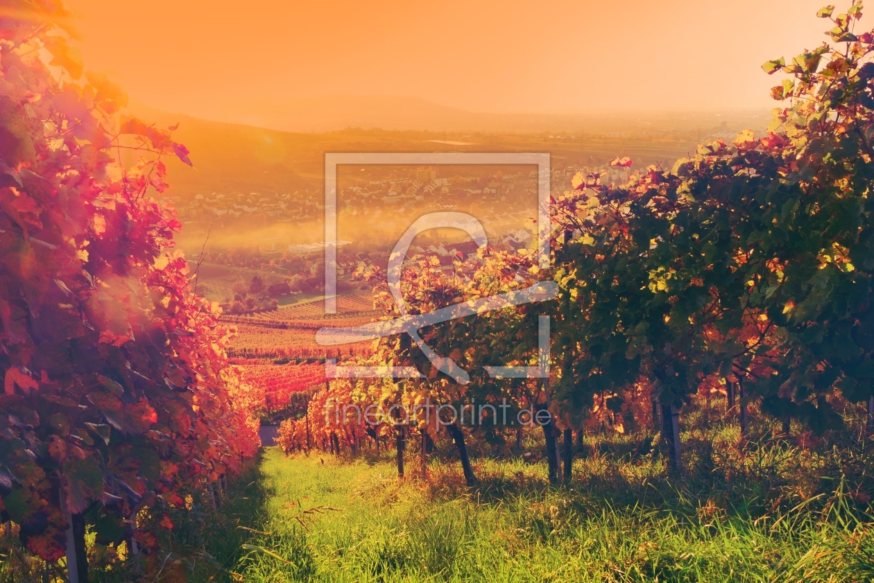 Bild-Nr.: 12052572 Weinberge erstellt von MyFineArt68