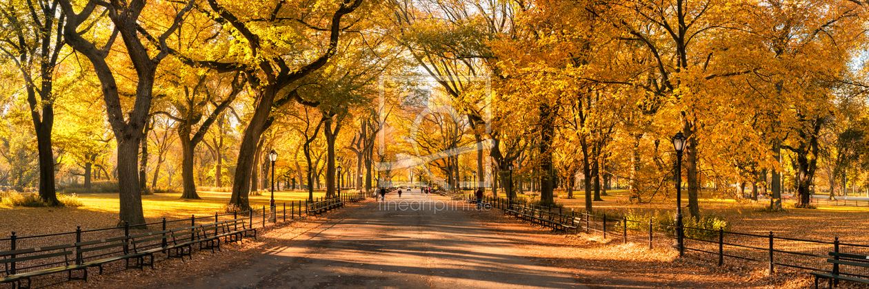 Bild-Nr.: 12099809 Central Park in New York City erstellt von eyetronic