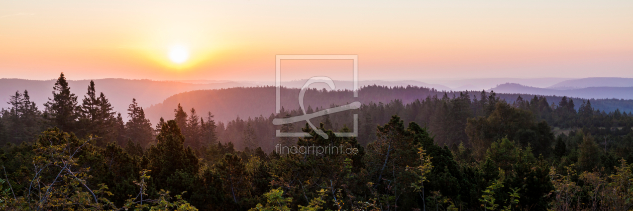 Bild-Nr.: 12126520 Sonnenaufgang am Schliffkopf im Schwarzwald erstellt von dieterich