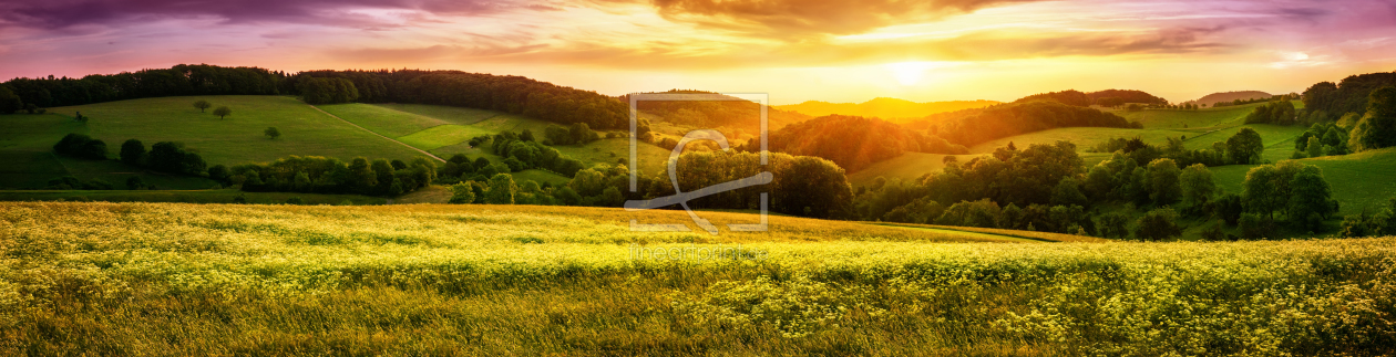 Bild-Nr.: 12169061 Panorama einer blühende Wiese bei Sonnenuntergang erstellt von Smileus