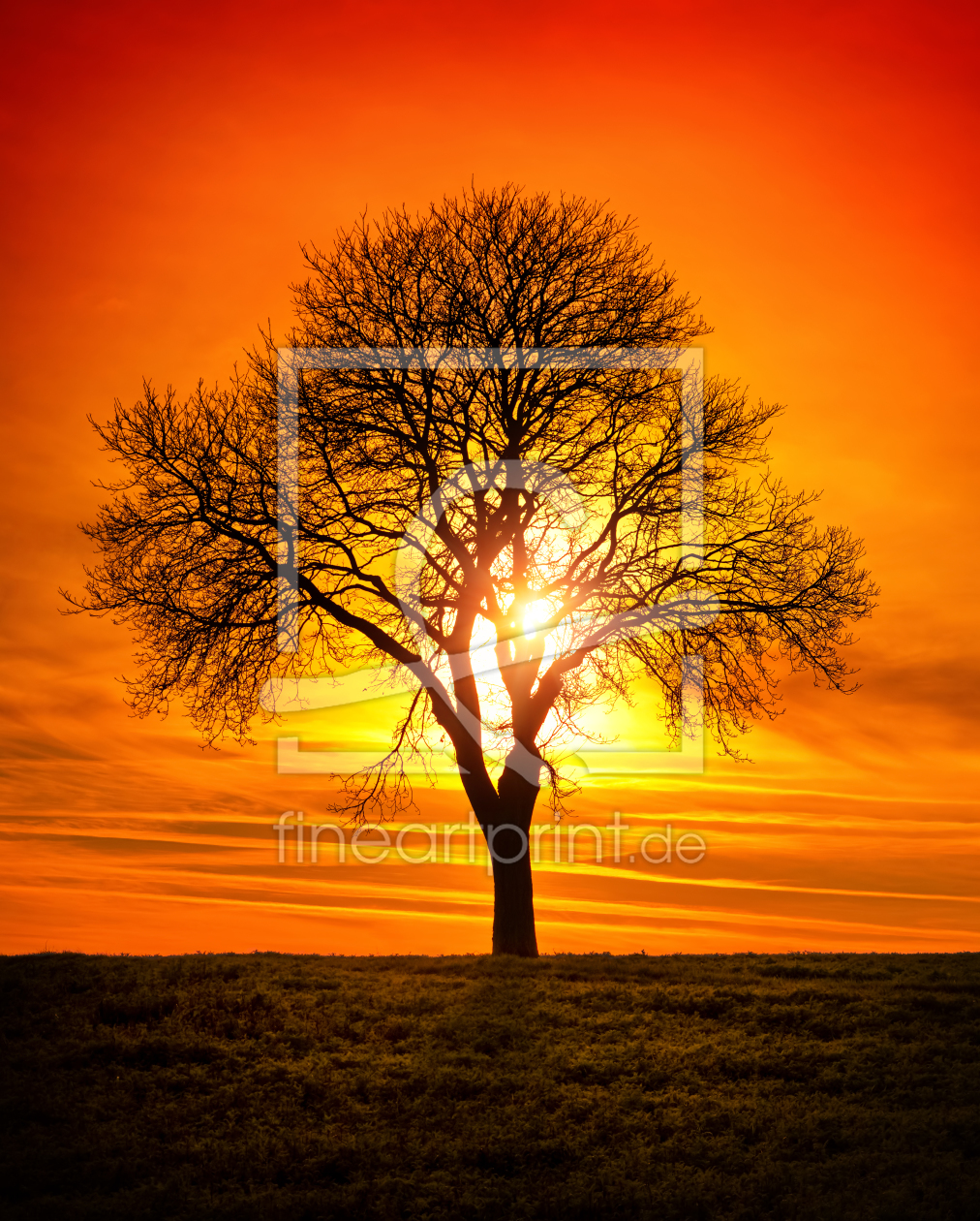 Bild-Nr.: 12176671 Einsamer Baum mit leuchtender Sonne im Hintergrund erstellt von Smileus