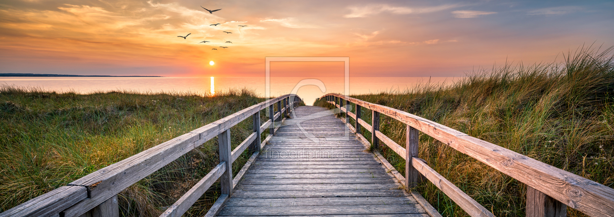 Bild-Nr.: 12189264 Dünenlandschaft am Meer erstellt von eyetronic