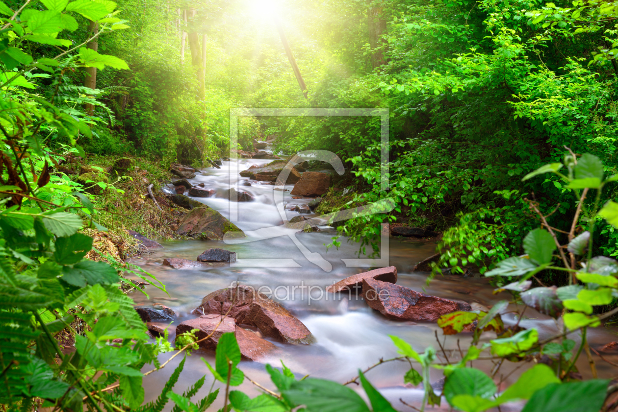 Bild-Nr.: 12193693 Schöner Bach im grünen Wald erstellt von Smileus