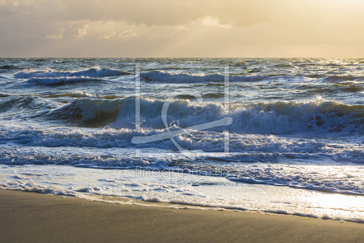 Bild-Nr.: 12234510 Darßer Weststrand an der Ostsee erstellt von dieterich