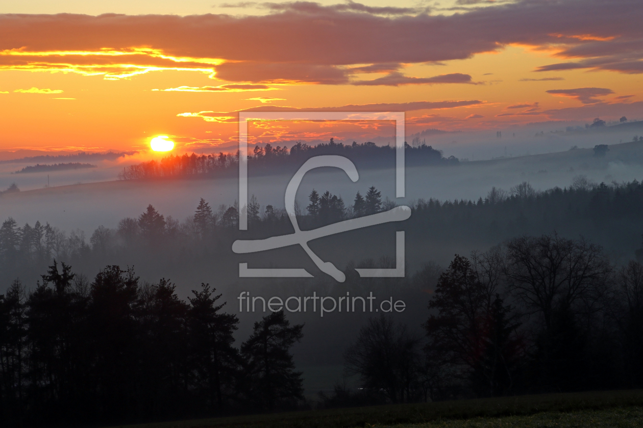 Bild-Nr.: 12362344 Mystischer Schwarzwald  erstellt von Gerhard Albicker
