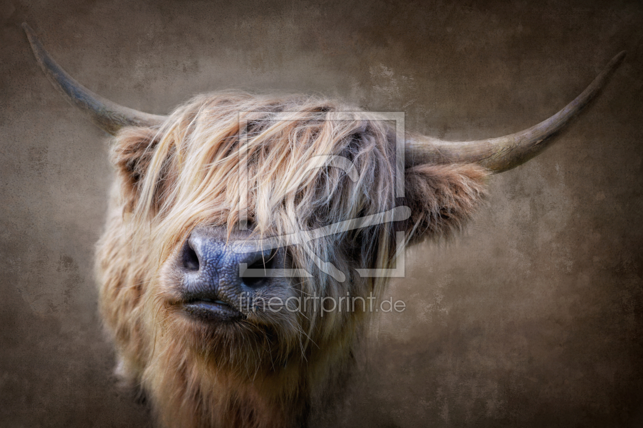 Bild-Nr.: 12368011 She's a Beauty erstellt von lucyliu