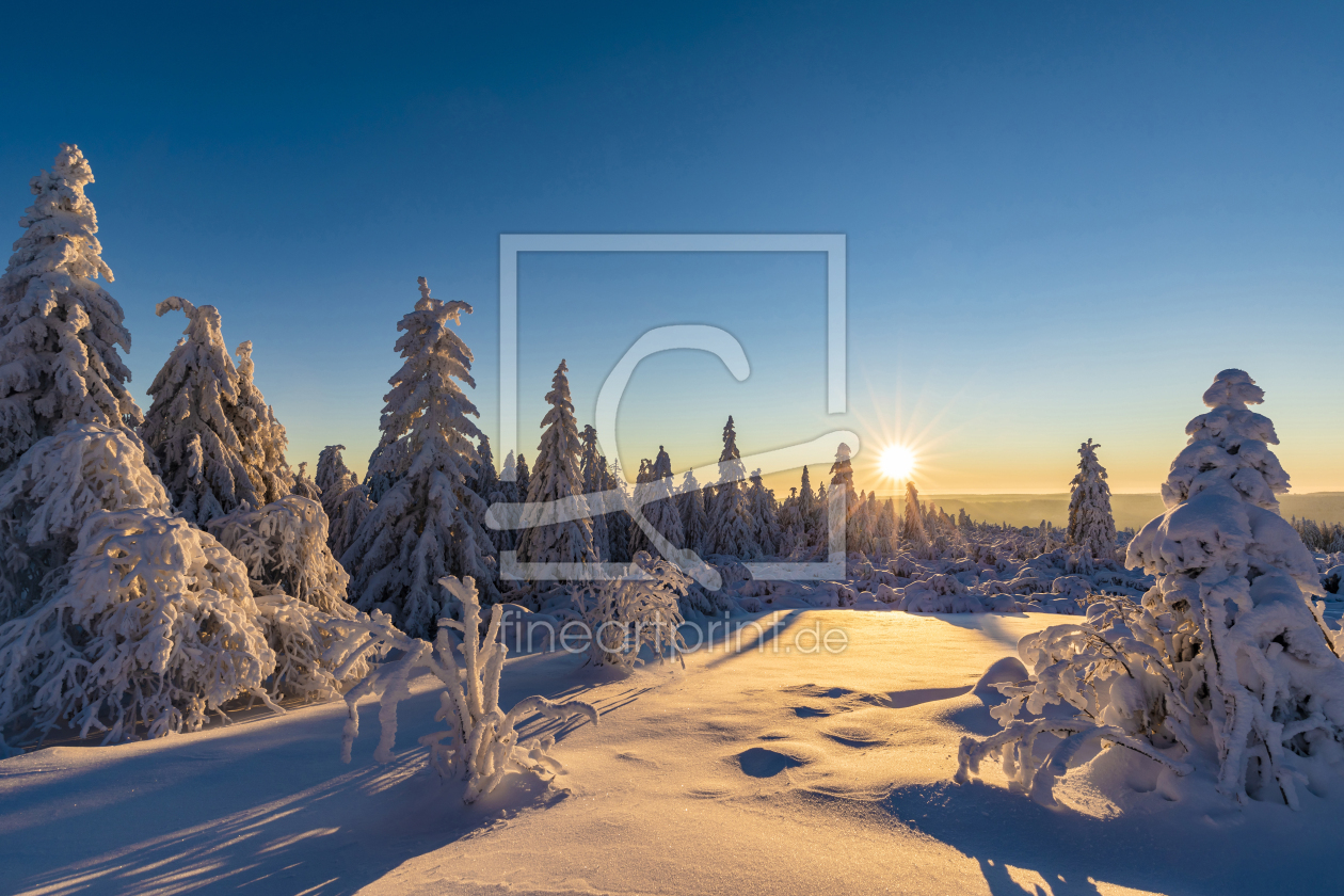 Bild-Nr.: 12370003 Winter im Schwarzwald erstellt von dieterich