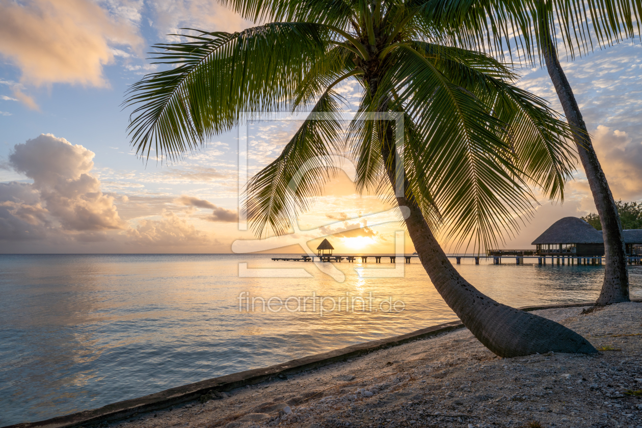 Bild-Nr.: 12385358 Sonnenuntergang am Palmenstrand erstellt von eyetronic