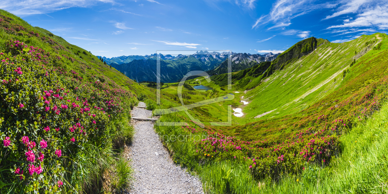 Bild-Nr.: 12454022 Alpenrosen am Fellhorn erstellt von Walter G. Allgöwer