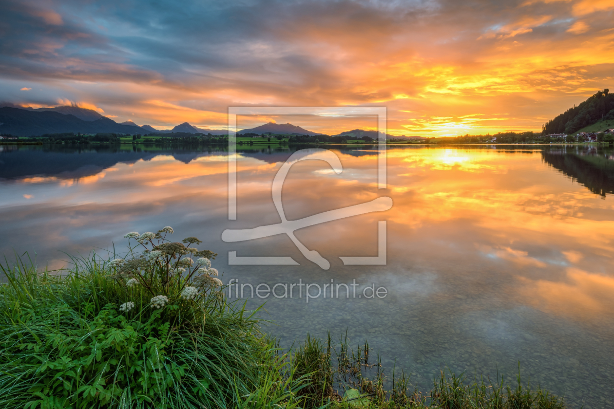 Bild-Nr.: 12458730 Am Hopfensee im Ostallgäu erstellt von Michael Valjak