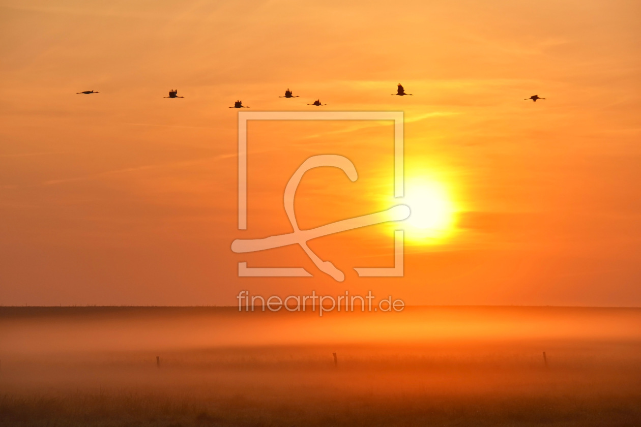 Bild-Nr.: 12478709 Flug ins Abendrot erstellt von GUGIGEI