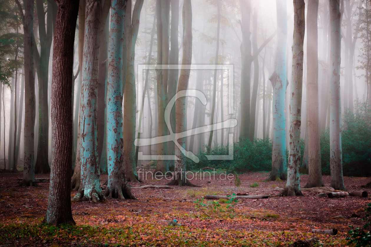 Bild-Nr.: 12622510 Wald im Nebel erstellt von Martin Martin Wasilewski