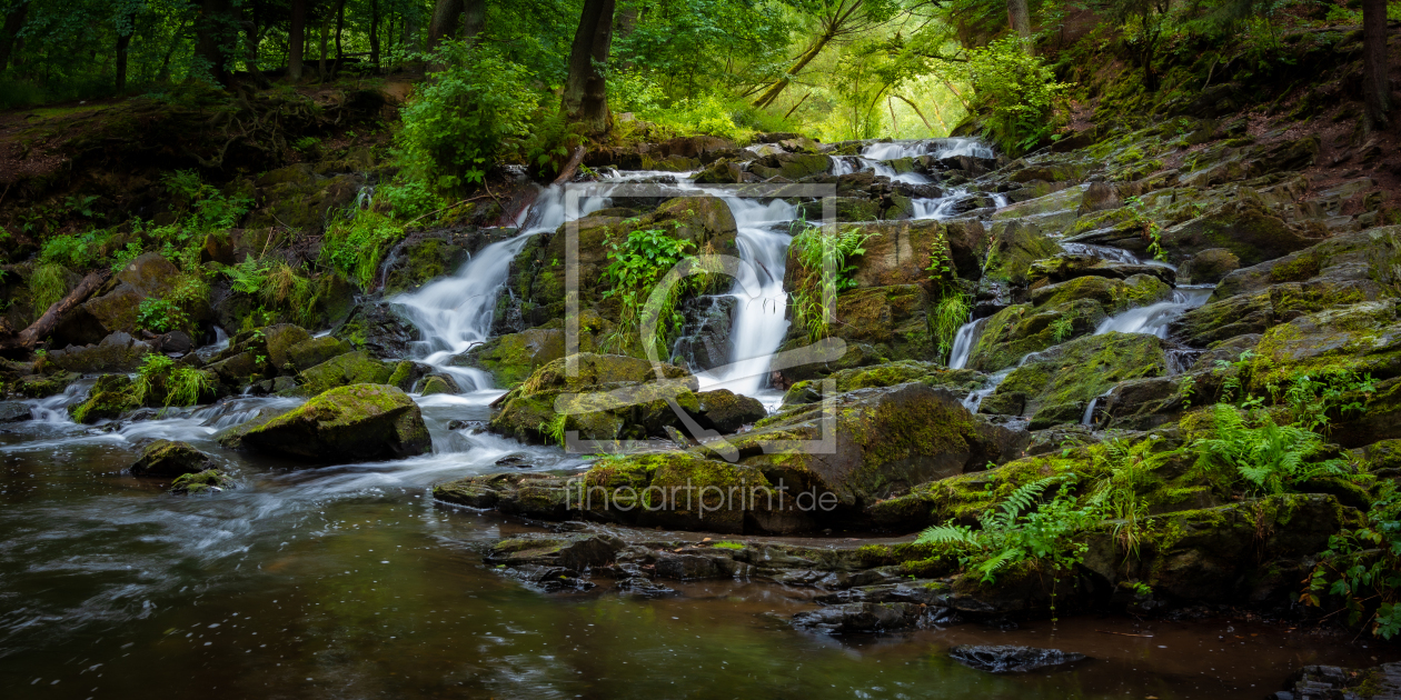 Bild-Nr.: 12623506 Selke Wasserfall im Sommer erstellt von Martin Martin Wasilewski