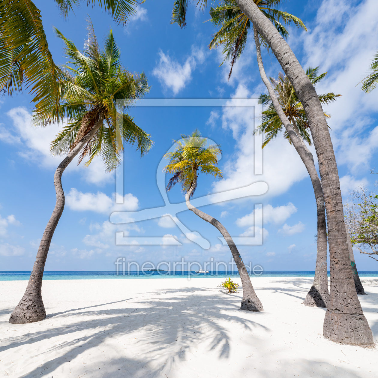 Bild-Nr.: 12630328 Palmen am Strand auf den Malediven erstellt von eyetronic