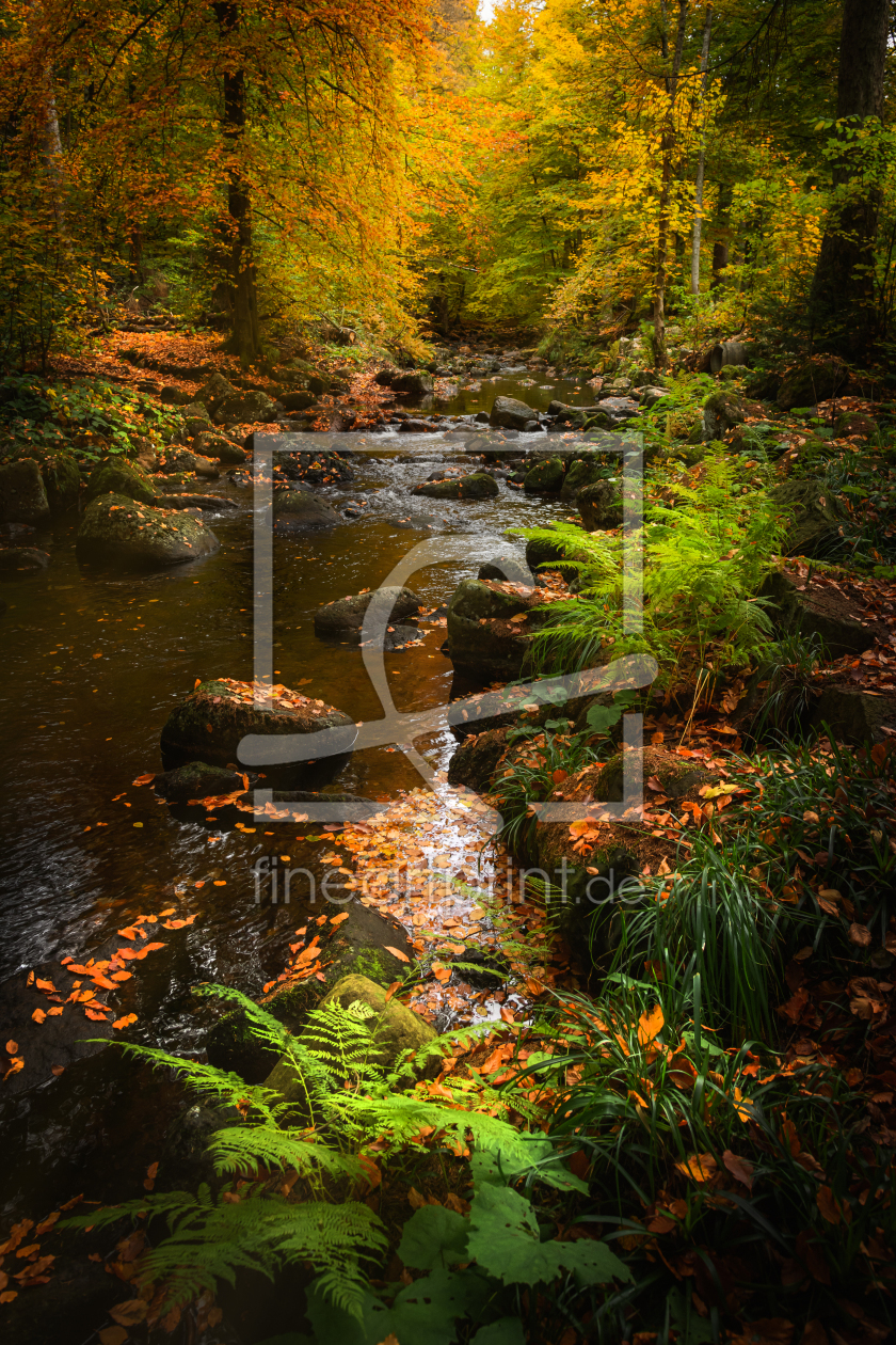 Bild-Nr.: 12638367 Herbst im Harz erstellt von Steffen Gierok